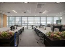 ONE GEORGE STREET (D1), Office #559778161
